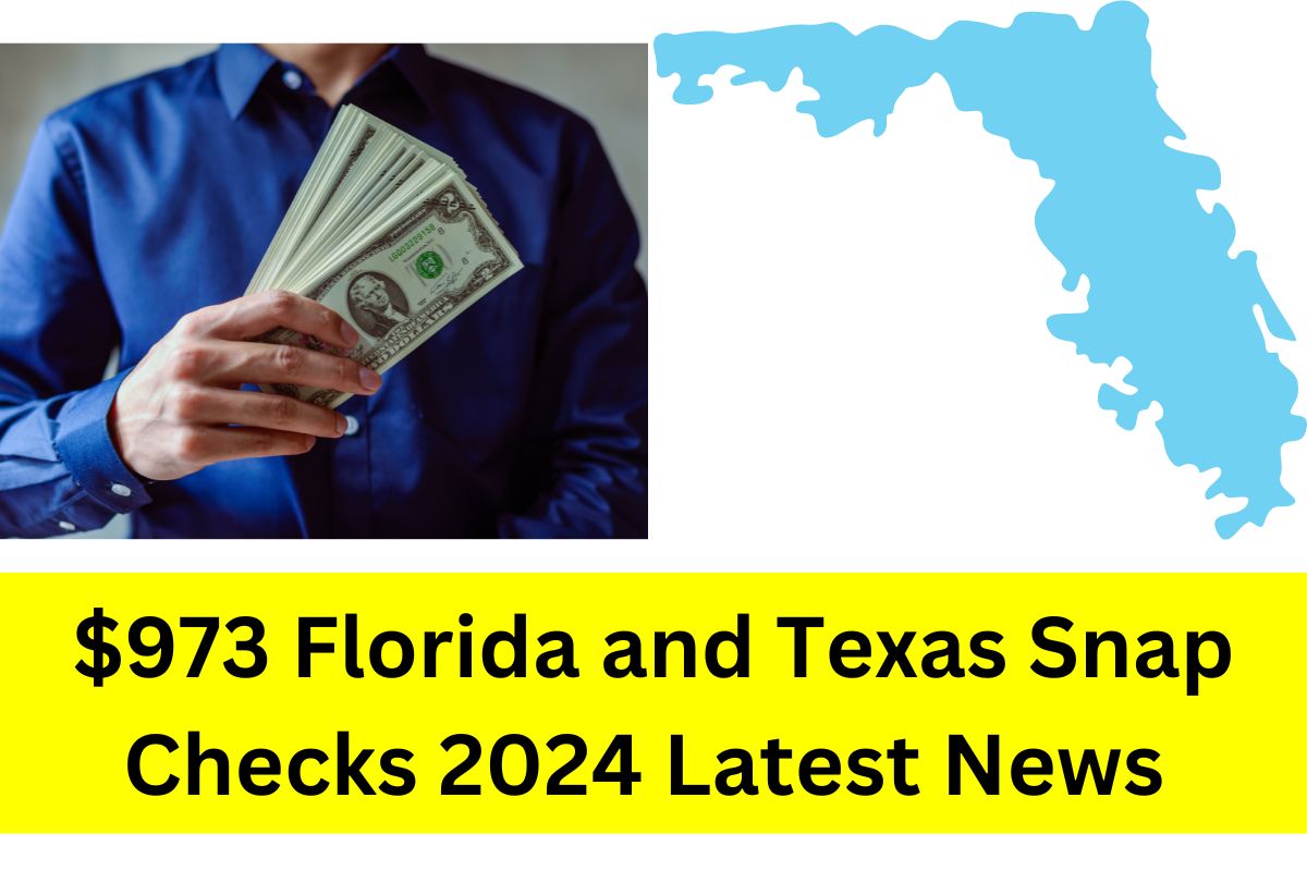 973 Florida and Texas Snap Checks 2024 Are You Qualified for 973