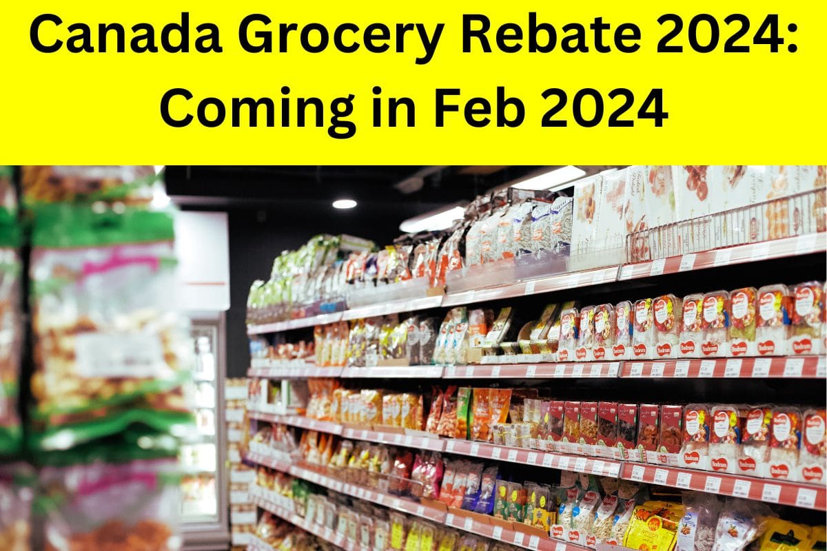 Canada Grocery Rebate 2024: Coming: Are You getting Grocery Rebate Payments in Feb 2024