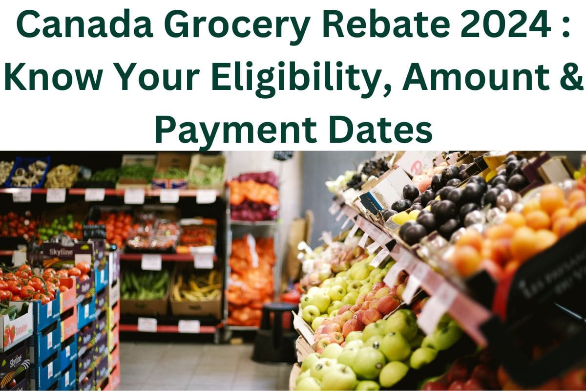 Canada Grocery Rebate 2024 : Know Your Eligibility, Amount & Payment Dates